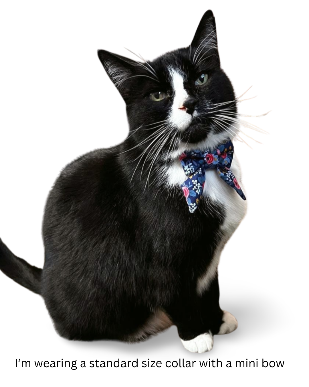 Blue Floral Cat Collar with Optional Sailor Bow Tie
