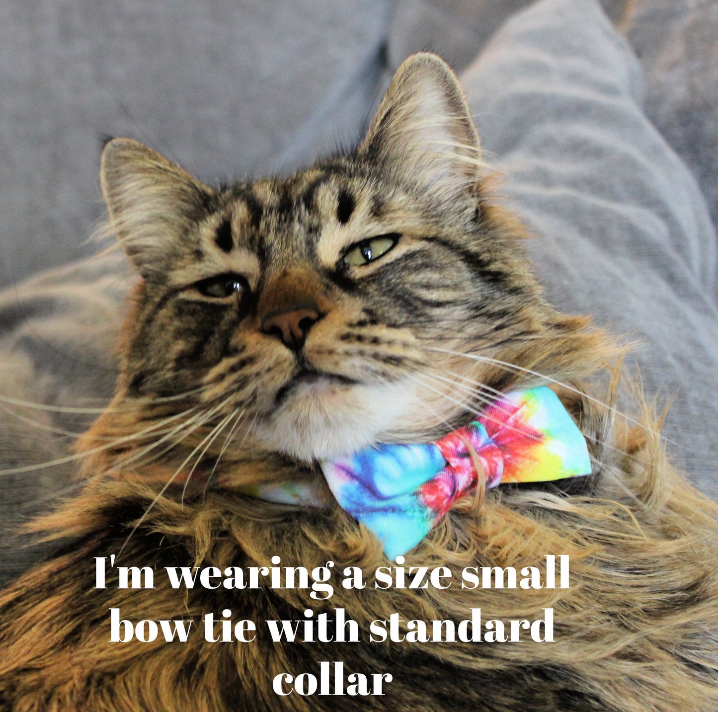 Bee Print Cat Collar with Bow Tie